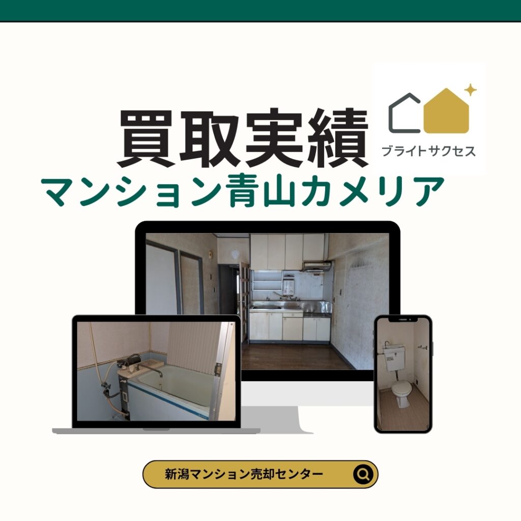 青山カメリア実績